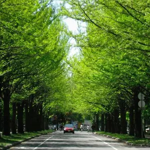 https://hotel-sapporo-mets.sapporo-hotel.com